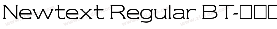 Newtext Regular BT字体转换